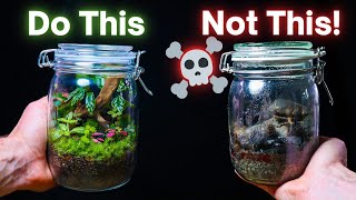 10 ESSENTIAL Terrarium Tips For Beginners [upl. by Etsirk557]