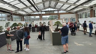 Bonsai in the Wirral The Wirral Bonsai Show [upl. by Greenleaf]