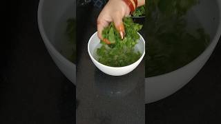 Dhaniya Pudina Chutney Recipe foodviraltrendingdinnerrecipeshortvideoyoutubeshortsshorts [upl. by Berck]