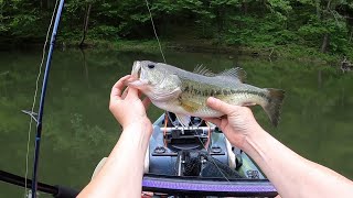 Quest for a hat pin  citation Redear and PB bass at Greenbo kayakfishing bass bassfishing kayak [upl. by Yaral293]