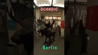 SCANDIC BERLIN POTSDAMER PLATZ  hotelberlintravel путешествияотель [upl. by Parker]