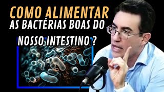 COMO ALIMENTAR AS BACTÉRIAS BOAS DO INTESTINO [upl. by Bronnie]