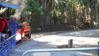 Currumbin wildlife sanctuary steam train [upl. by Charleton471]