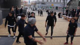 TATÜ Tag der offenen Tür Flashmob 08112016  HAS HAK AUL Friesgasse [upl. by Hahsi]