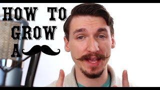 How To Grow and Style a Handlebar Mustache  A Tutorial  Matt Tastic [upl. by Kaitlynn450]