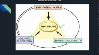 Thrombosis [upl. by Nosreffej]