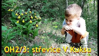 Orchid Hunting se02ep03 JayKay a střevíčník pantoflíček PP V Kuksu 2052022 [upl. by Case]