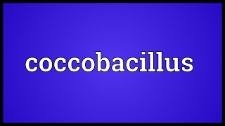 Coccobacillus Meaning [upl. by Notsirhc]