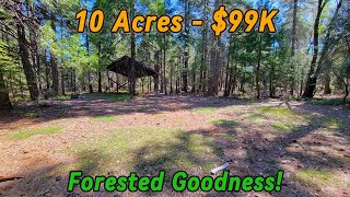 Acreage For Sale In California  Owner May Carry  Real Estate Land [upl. by Corvin233]