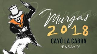 Cayó la Cabra  Ensayo MURGAS 2018 [upl. by Aneen]