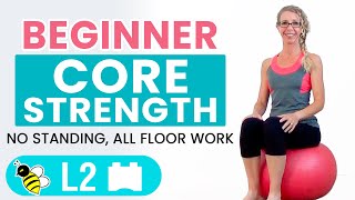 BEGINNER CORE  15 Minute STABILITY BALL Workout for BEGINNERS [upl. by Akcirahs]