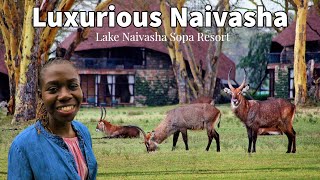 I Found Affordable Luxury Resort In Naivasha Kenya  Lake Naivasha Sopa Resort  Liv Kenya [upl. by Abagail406]