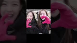 Chaennie lovely couple friendship❣️✨ lisoo crackheads 🔥👽 blackpink trending blinkforlife [upl. by Tildy767]