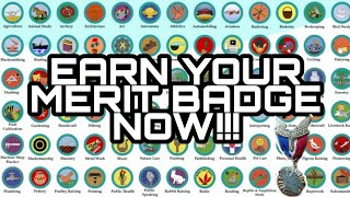 HOW TO EARN MERIT BADGES [upl. by Narra764]