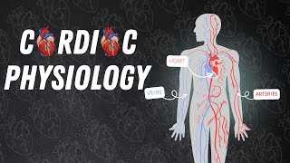 1st lec in cardiac physiology  Cardiac Cycle [upl. by Tima]