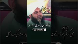 NABI E KAREEM ﷺ Farmate Hain Meraj Ki Rat Jannat Mein Ek Mahel Dekha 💖🥀 shorts ajmalrazaqadri [upl. by Nicolis980]