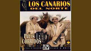 Corrido de Don Emilio [upl. by Wilden398]