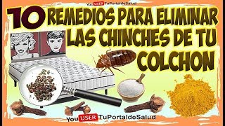 10 Remedios Para Eliminar las Chinches del Colchón  Como Eliminar las Chinches de tu Cama ✅ [upl. by Clemente903]