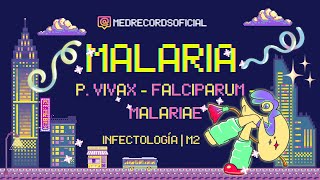 MALARIA PALUDISMO  Plasmodium vivax malariae falciparum  Clínica Diagnóstico Tratamiento  INFECTO [upl. by Nilerual824]