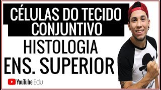 Aula CÃ©lulas do Tecido Conjuntivo  Aula de Biologia para Ens Superior [upl. by Selhorst]