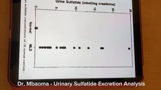 Metachromatic LD Testing Analysis [upl. by Amory389]