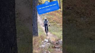 One of my favorites on the Teton Pass trekbikes transitionbikes mountainbiking [upl. by Vashtee]