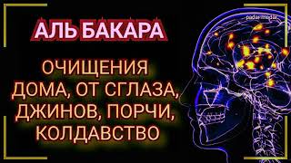 Аль Бакара очищения домов от джинов шайтана порчи и сглаза и черной магии  Surah AlBaqarah [upl. by Balsam389]