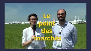 Marché des céréales  les points à surveiller avant la récolte [upl. by Wack]