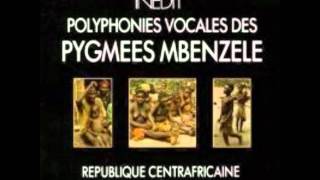 Chantefables Polyphonies vocales des Pygmées Mbenzele RCA [upl. by Miculek]