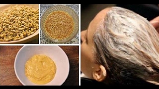 DIY Fenugreek Seeds Hair Mask For ThinDry and Damaged Hair  CHATURYABLOGGER [upl. by Berkin524]