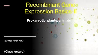 Recombinant gene expression basics 2 class lecture [upl. by Awjan]