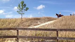 Horseback Riding at Mosaic Peace River Park Homeland Fort Meade Florida [upl. by Refotsirhc]