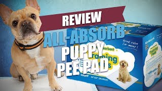 AllAbsorb Puppy Pee Pad Review 2018 [upl. by Harris]