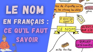 LE NOM  révisions de grammaire en douceur [upl. by Harpp280]