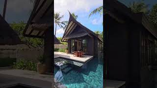 OZEN RESERVE BOLIFUSHI travel beachgetaway beach beachholiday vacation honeymoontravel [upl. by Oilcareh]