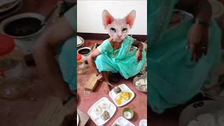 🥔🥘😾🍛🐈🤪Aalu 🥔 🔥 🥘 😺gobhi 🥔 ki 🥯 🥯 🍥 🤪 sabji 🥔🔥🥘🍛🍛🤣🤣🤪🙏 short video [upl. by Frasco]