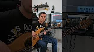 quotComprendes Mendesquot bass cover [upl. by Eegnat]