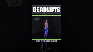 Resistance Band Training  Deadlifts  TA2 Burn Program [upl. by Bicknell655]