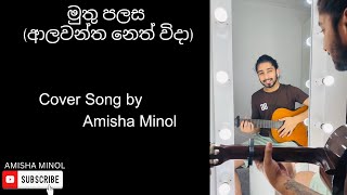 ආලවන්ත නෙත් විදා  Cover Song  Amisha Minol [upl. by Ajup]