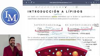 Bioquímica  Introducción a los lípidos [upl. by Ludewig]