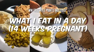 What I Eat In A Day  14 Weeks Pregnant  Felicia Keathley [upl. by Ellinej]