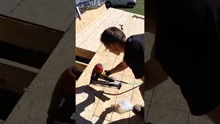 Installing the roof sheathing shedhouse tinyhouse [upl. by Hi118]