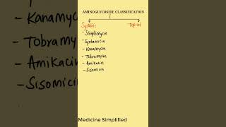 Aminoglycoside Classification  Classification of Aminoglycoside  Aminoglycoside drugs [upl. by Arteid669]