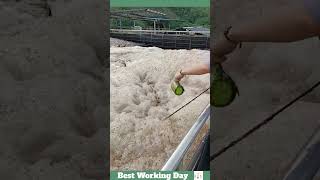 Best working day 1699 Wastewater treatment process with defoamer [upl. by Atinihc]