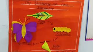 butterfly life cyclelife cycle of a butterflylife cyclelife cycle of a butterfly for kids [upl. by Tanah]