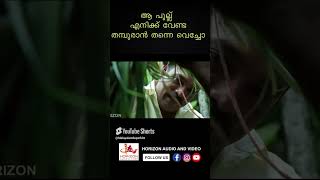 ഒളിഞ്ഞുനോക്കിയാൽ ഈ വൃത്തികേട് പലതും കാണും malayalamletestmovies malayalam comedyreelsmalayalam [upl. by Yerot]