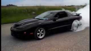 2000 Procharged Fully Built LS1 Trans Am Burnout [upl. by Clite]