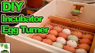 Home Made Poultry Hen Duck Incubator with Automatic Egg Turner [upl. by Latvina]