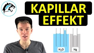 Der Kapillareffekt  Physik Tutorial [upl. by Tremann]