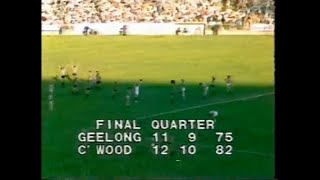 1981 Preliminary Final  Collingwood vs Geelong Last Half  highlights [upl. by Warfore76]